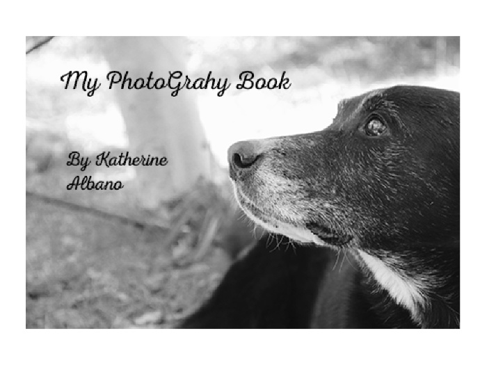 My Photobook - Adobe InDesign - PrestoPhoto