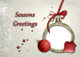 Seasons Greeting Holiday Card