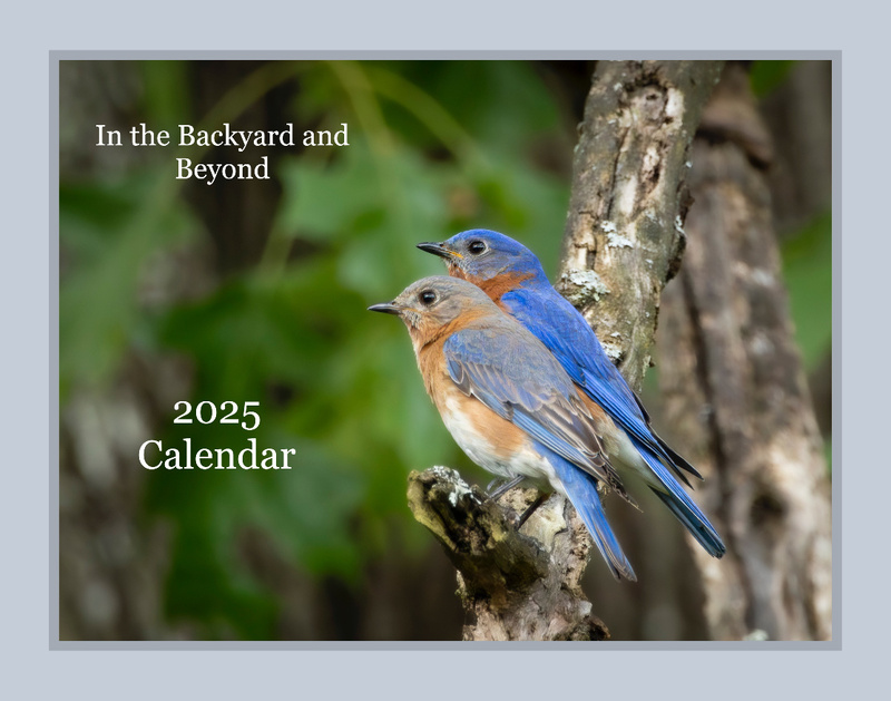 11x8.5 Calendar Calendar