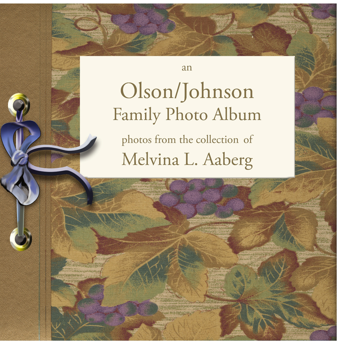 An Olson/Johnson Family Photo Album