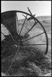 1.27 Seeder Wheel