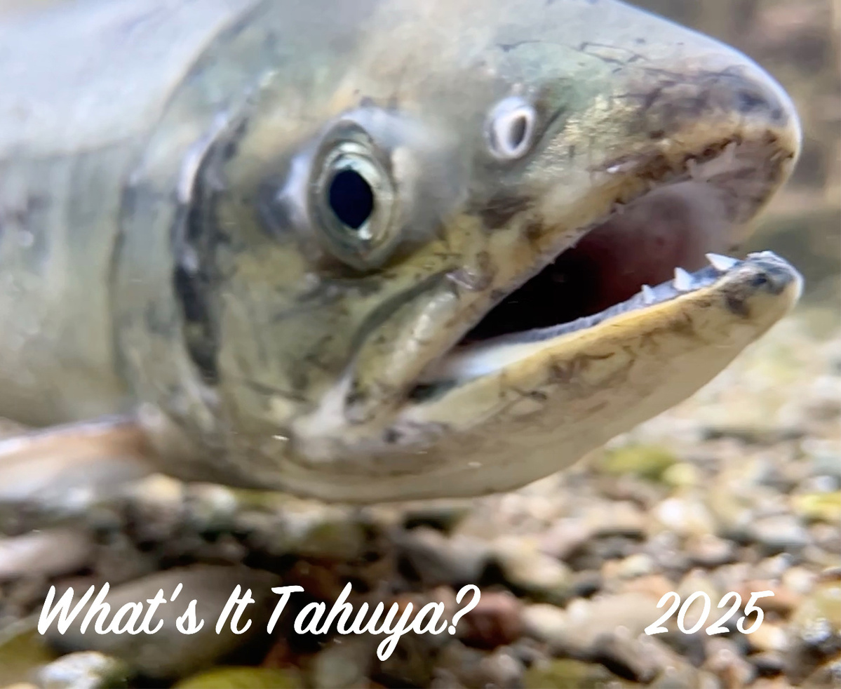 What&#39;s It Tahuya? 2025 Calendar