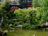 Japanese Tea Garden