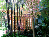 Bamboo Hut in Belagio