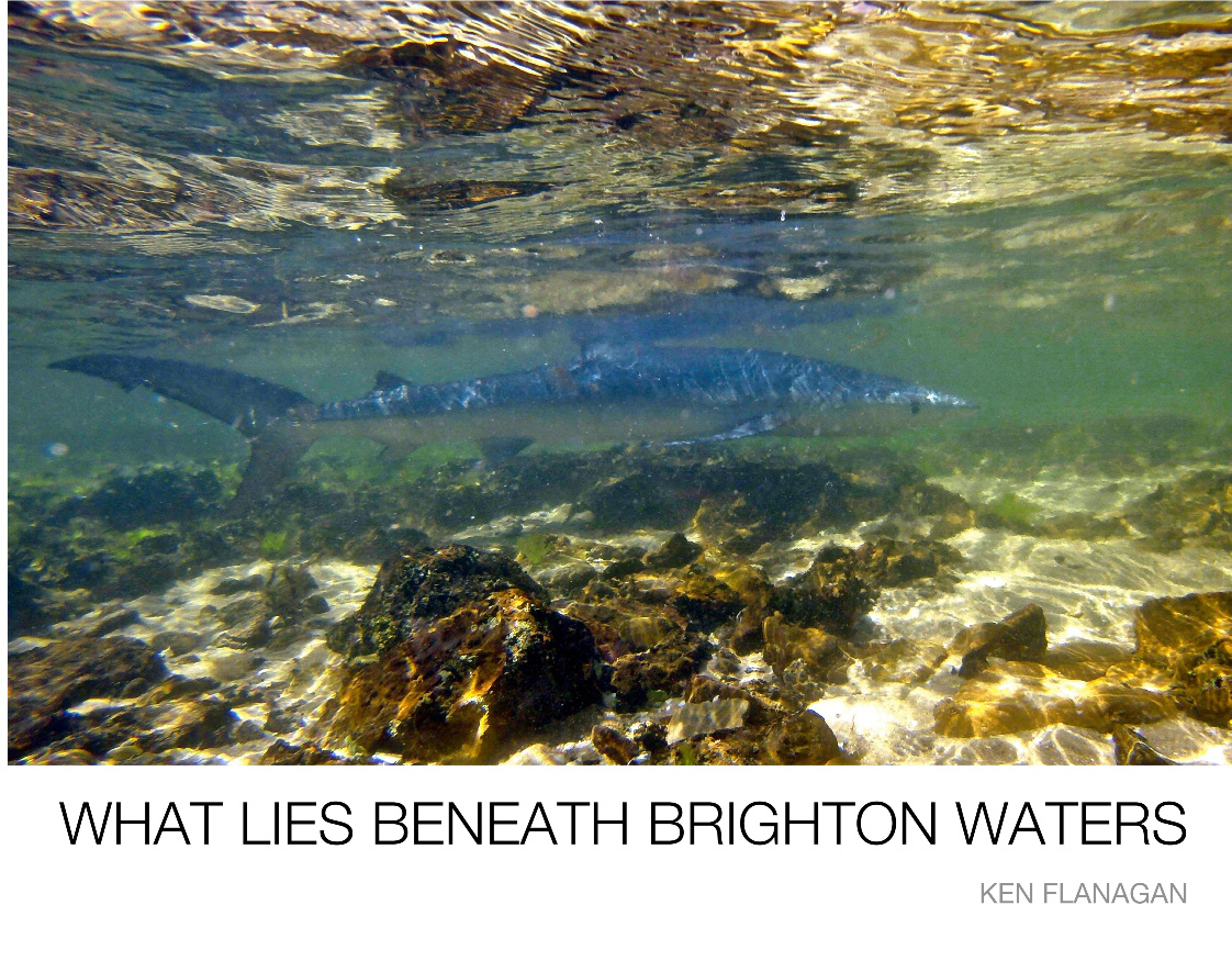 What Lies Beneath Brighton Waters