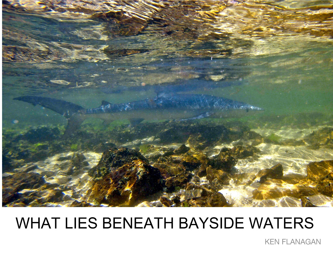 WHAT LIES BENEATH BAYSIDE WATERS